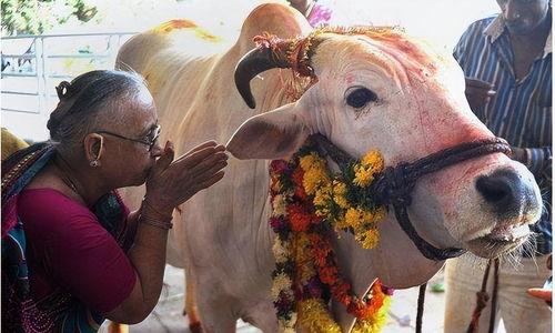 牛不啦大小娜最新爆料,揭秘娱乐圈惊天秘密！